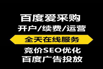 SEM专员实战案例解析